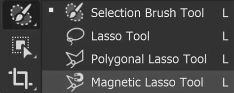 Screenshot of the Magnetic Lasso Tool actively snapping to an object's edge in Photoshop