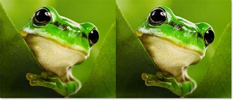 Comparison of an unsharpened and sharpened image