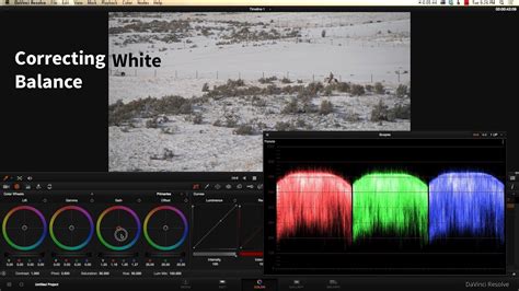 DaVinci Resolve White Balance Eyedropper Tool