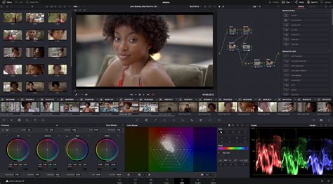 DaVinci Resolve Color Warper Interface