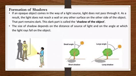 Illustration showing light source and resulting shadows on a leaf