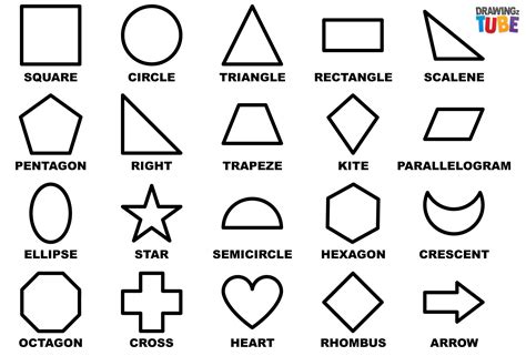 Basic geometric shapes for drawing cakes and cookies in Procreate