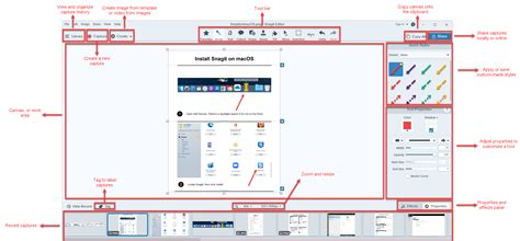 Snagit Editor interface with an image loaded