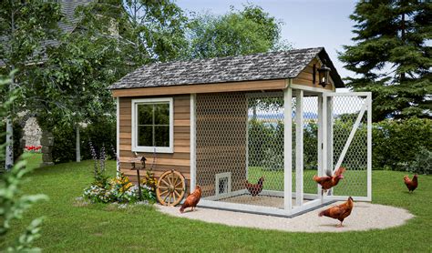 Various types of chicken coops