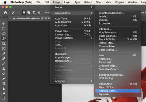 Screenshot of Photoshop's Replace Color dialog box