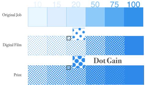 Illustration demonstrating dot gain, showing an initial dot and its spread after printing
