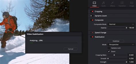 Screenshot showing the Cut Page Tools panel with Stabilization option