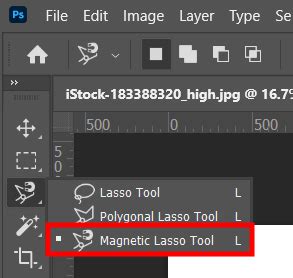 Magnetic Lasso Tool selecting a complex object