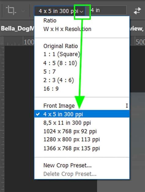 Crop Tool interface with aspect ratio settings