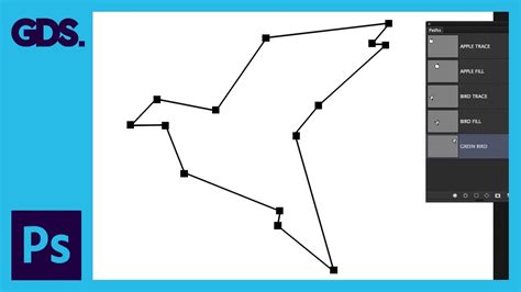 Pen Tool creating a precise vector path