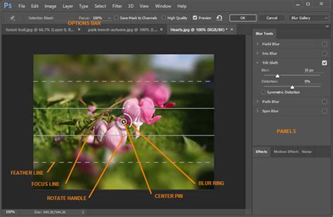 Visual representation of different blur types from Photoshop's Blur Gallery (Field, Iris, Tilt-Shift, Path, Spin)