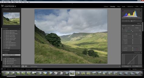 A detailed diagram of the Lightroom Develop Module interface, highlighting the Basic and Tone Curve panels.