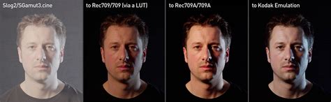 Collage of different stylized LUT examples