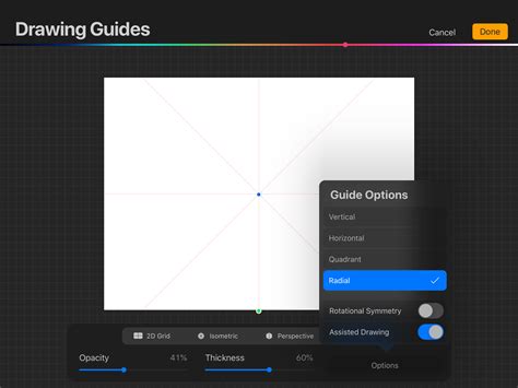 Screenshot of Procreate's Symmetry Drawing Guide