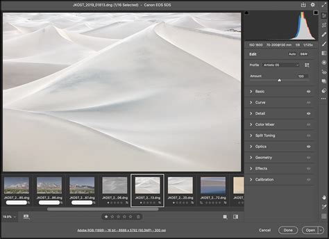 Adobe Camera Raw interface showing Technology Previews