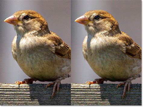 Comparison of original and Super Resolution upscaled image crops