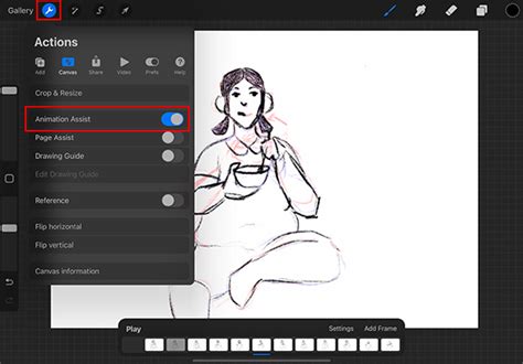 Procreate Animation Assist timeline interface