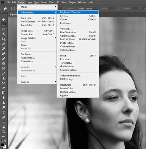 Photoshop tools: Eraser, Brush, Levels adjustment layer