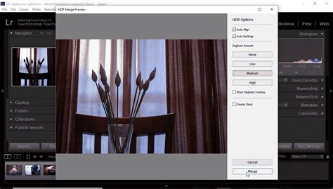 Dialog box showing Lightroom Classic preview generation options