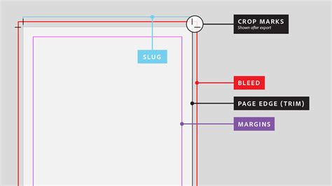 InDesign document setup with bleed and margin settings highlighted