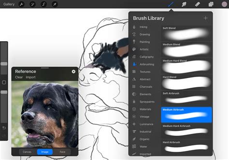 Illustration of Procreate interface with brush library open