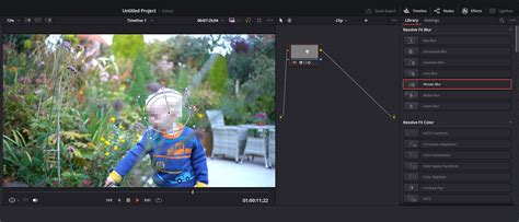 Import Media Menus for DaVinci Resolve Blur Background