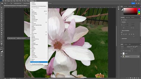 Screenshot of Photoshop's 