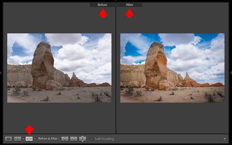 Lightroom Side-by-Side Before and After