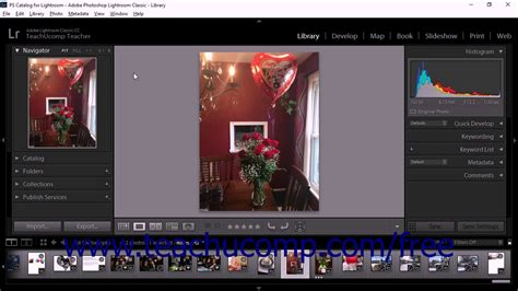 Lightroom Mobile Loupe View - Editing Controls