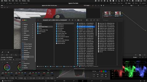 DaVinci Resolve Gallery with a still image selected