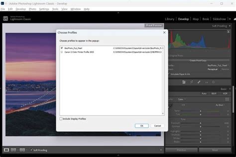 Lightroom Soft Proofing dialog box showing color space options