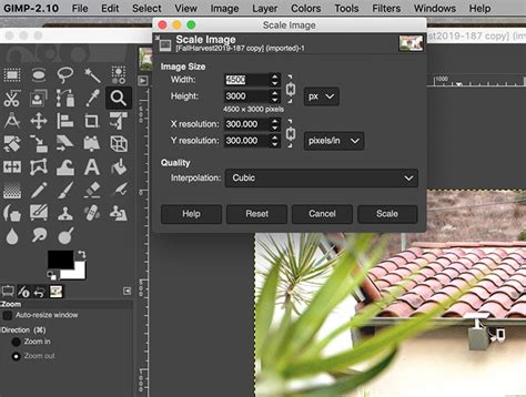 GIMP interface with editing tools