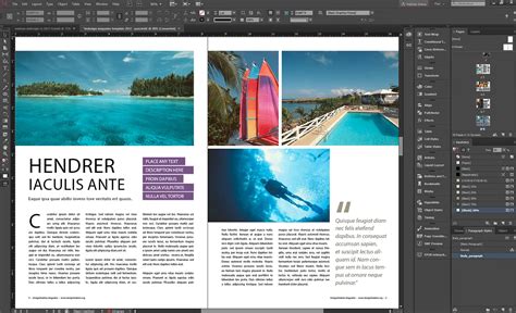 Adobe InDesign software interface