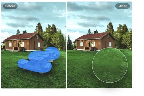 Fotor interface demonstrating object removal tool