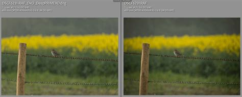 Comparison of a noisy image and the same image processed with DxO PureRAW