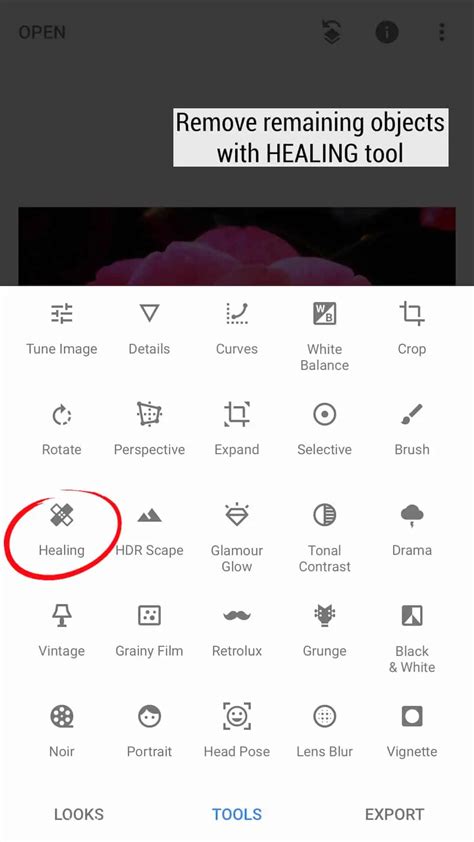 Screenshot showing Snapseed's Healing tool in use, highlighting an object to be removed