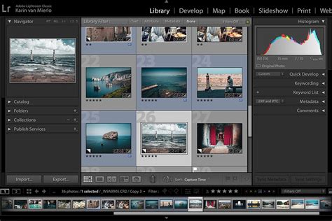 Lightroom library module interface