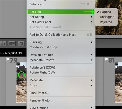 Lightroom flagging interface with Pick and Reject icons