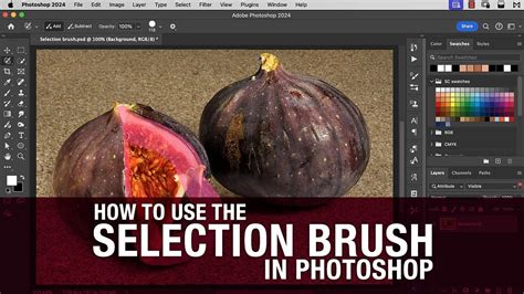 Photoshop brush selection panel