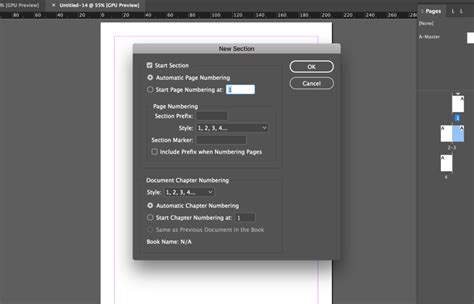 Adobe InDesign Numbering & Section Options dialog box