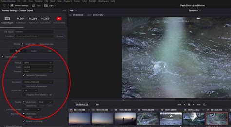 DaVinci Resolve Custom Export Settings Panel
