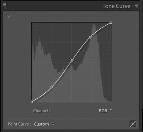 Lightroom Tone Curve with S-curve and lifted blacks