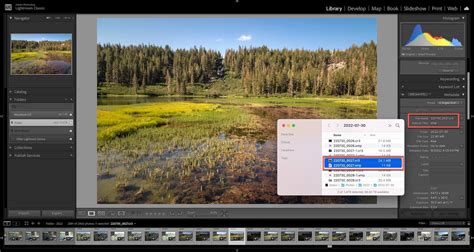 Lightroom catalog structure with XMP sidecar files