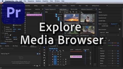 Premiere Pro Media Browser