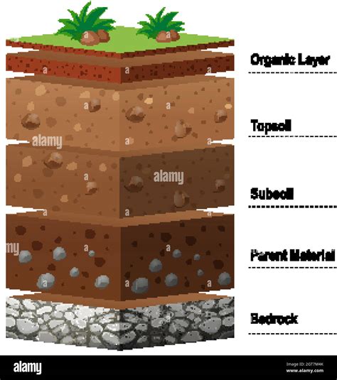 Layers of dirt and wear on a surface