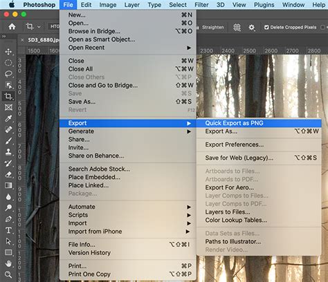 Screenshot of Photoshop's File > Export > Export As menu