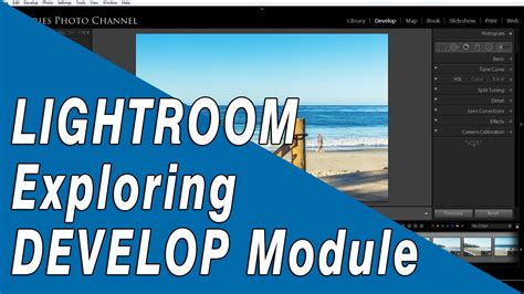 Lightroom Develop Module with Spot Removal Tool Selected