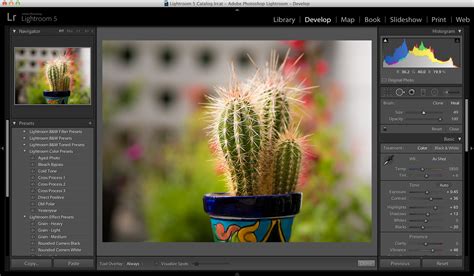 Lightroom interface with plugins
