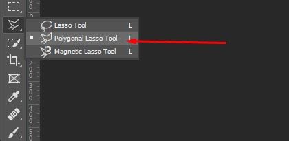 Polygonal Lasso Tool selection process