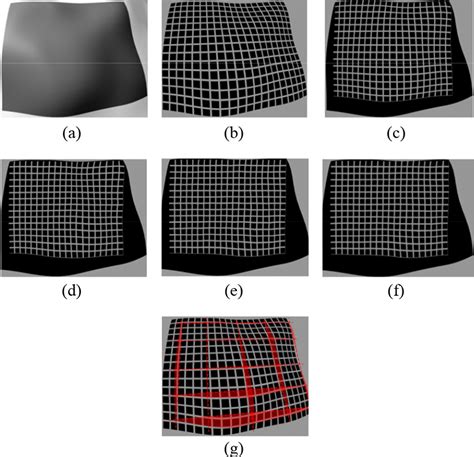 Warp projection grid with Bézier tangents visible